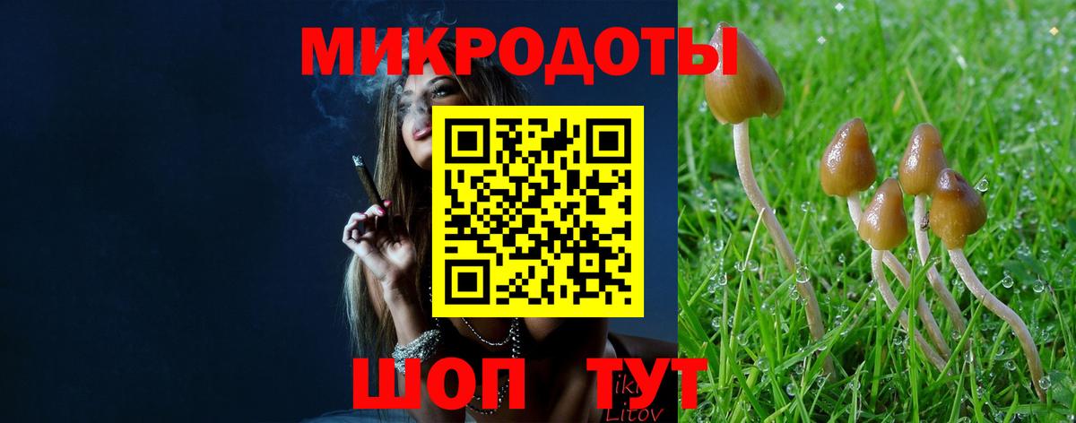 Галлюциногенные грибы Magic Shrooms Минусинск